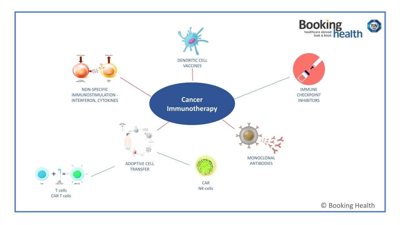 Cancer Immunotherapy Cancer Immunotherapy