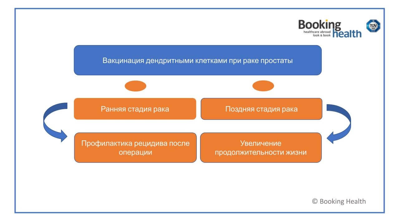 Вакцинация дендритными клетками при раке простаты Вакцинация дендритными клетками при раке простаты