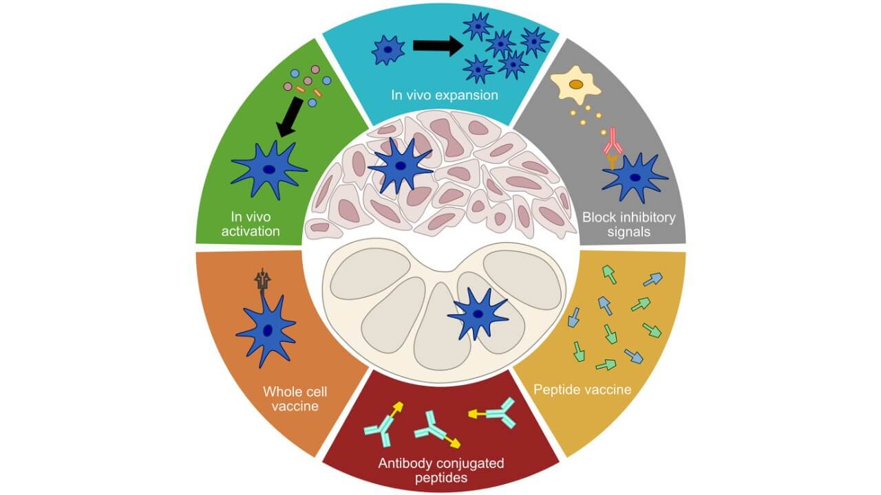 Treatment modalities targeting DCs
