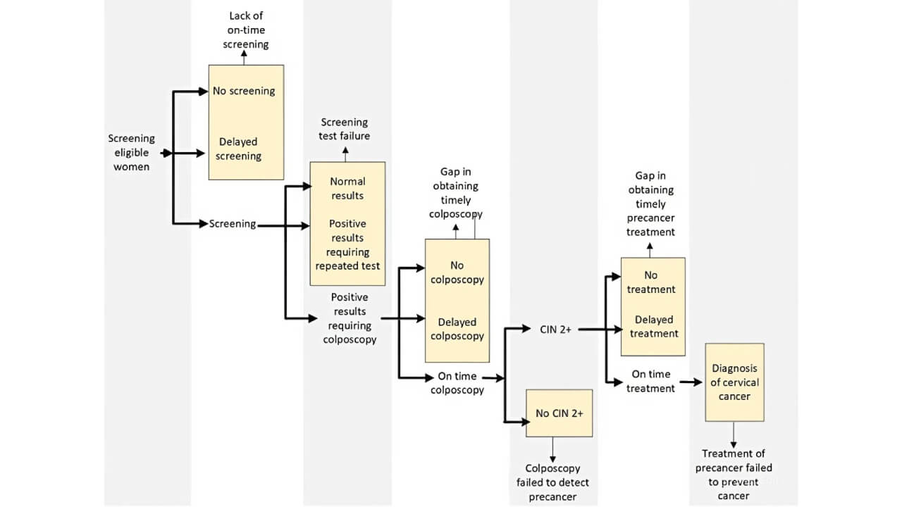 Gaps in the cervical cancer screening process