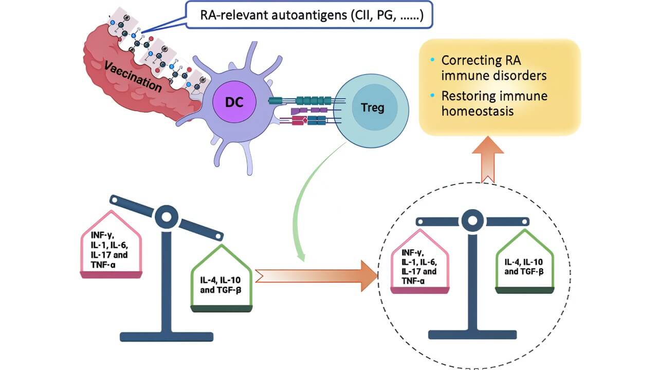 Mechanism of Vaccination