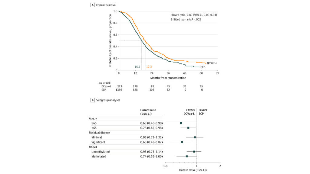 Overall Survival and Subgroup Analyses for Patients with Newly Diagnosed Glioblastoma