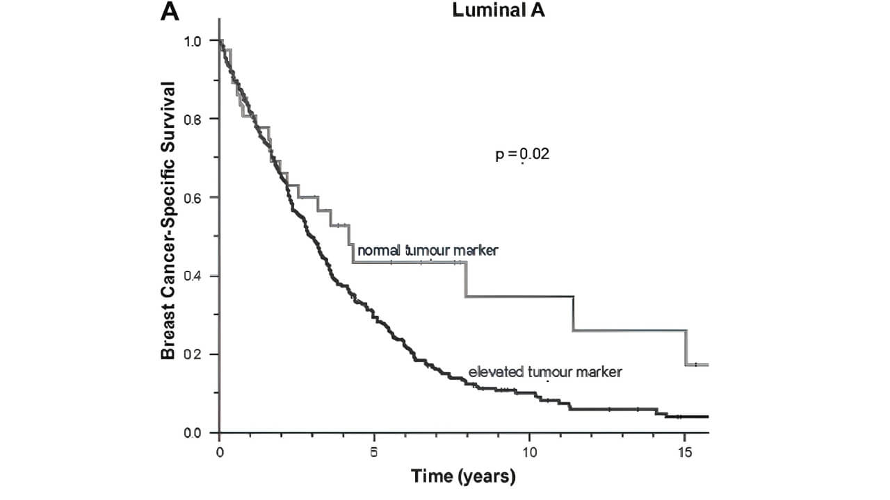 Breast cancer-specific survival (BCSS)