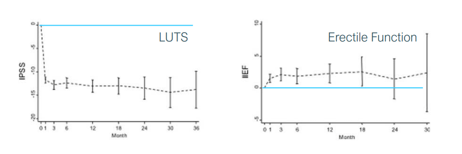 Advantages of the PAE